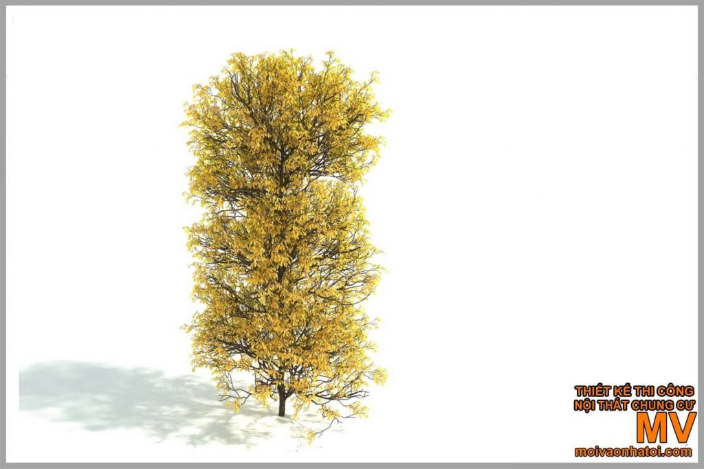 árvore de folha amarela