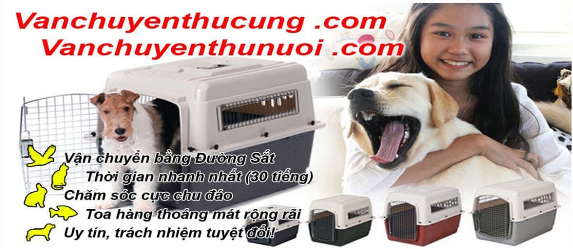 Vận chuyển chó mèo thú cưng chim gà đướng sắt tàu nhanh Mr Sơn